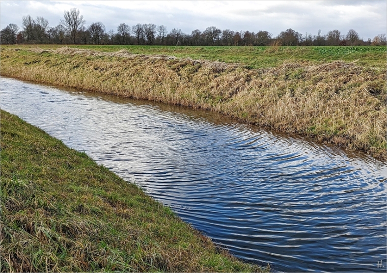 2023-01-05 b. LüchowSss Königshorster Kanal gut gefüllt